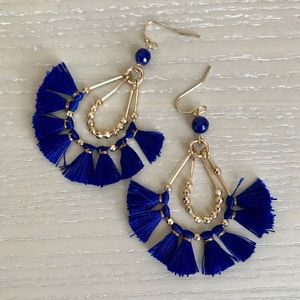 Royal Blue Tassel Earrings